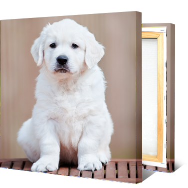 Photo on Canvas Prints - Size 25x25 CM Photo on Canvas Prints - Size 25x25 CM
