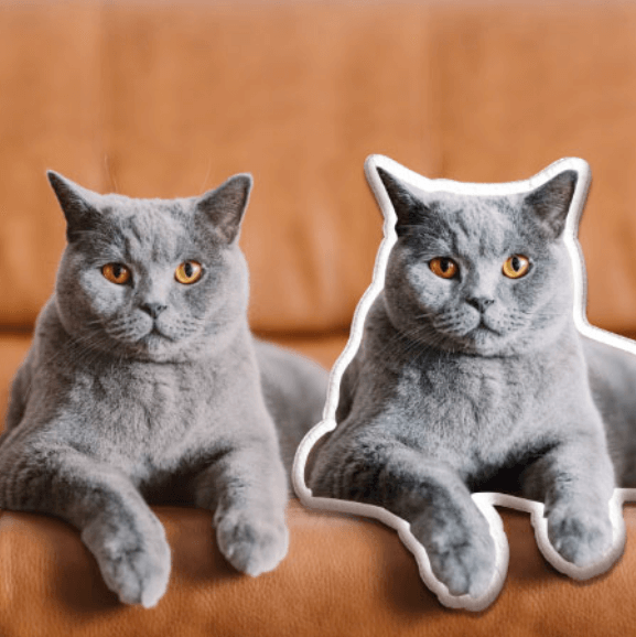 Soft and Plushy: Pet Shaped Pillows for Your Home Soft and Plushy: Pet Shaped Pillows for Your Home