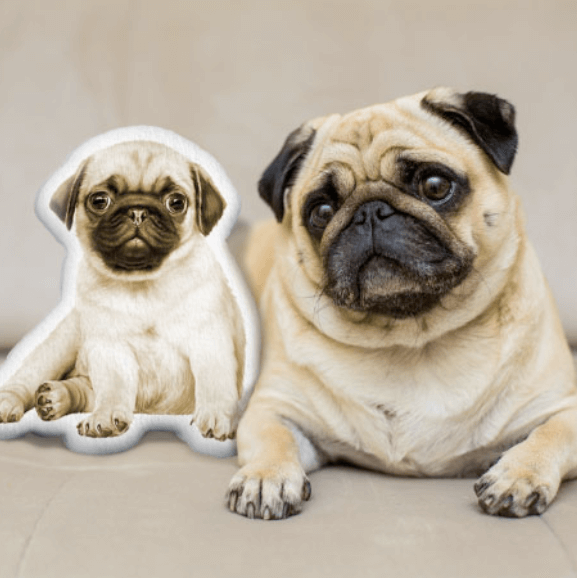 Fall in Love with Custom Pet Shaped Pillow