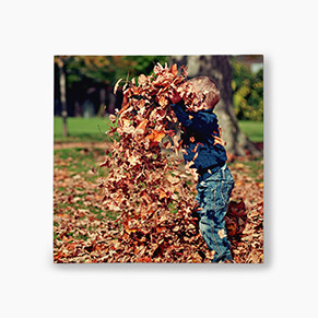 Son Playing Photo Printed on Large Canvas Prints 30x30 Australia CanvasChamp